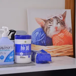 House 101 東京都